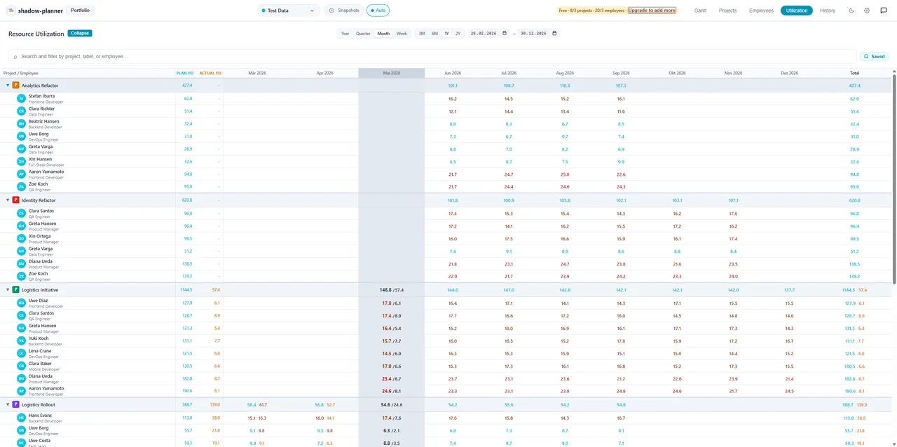 Resource utilization heatmap with monthly allocations