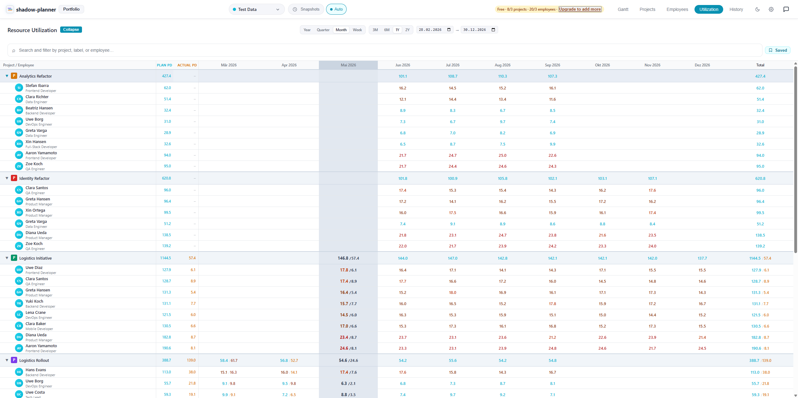 Resource utilization heatmap with monthly allocations