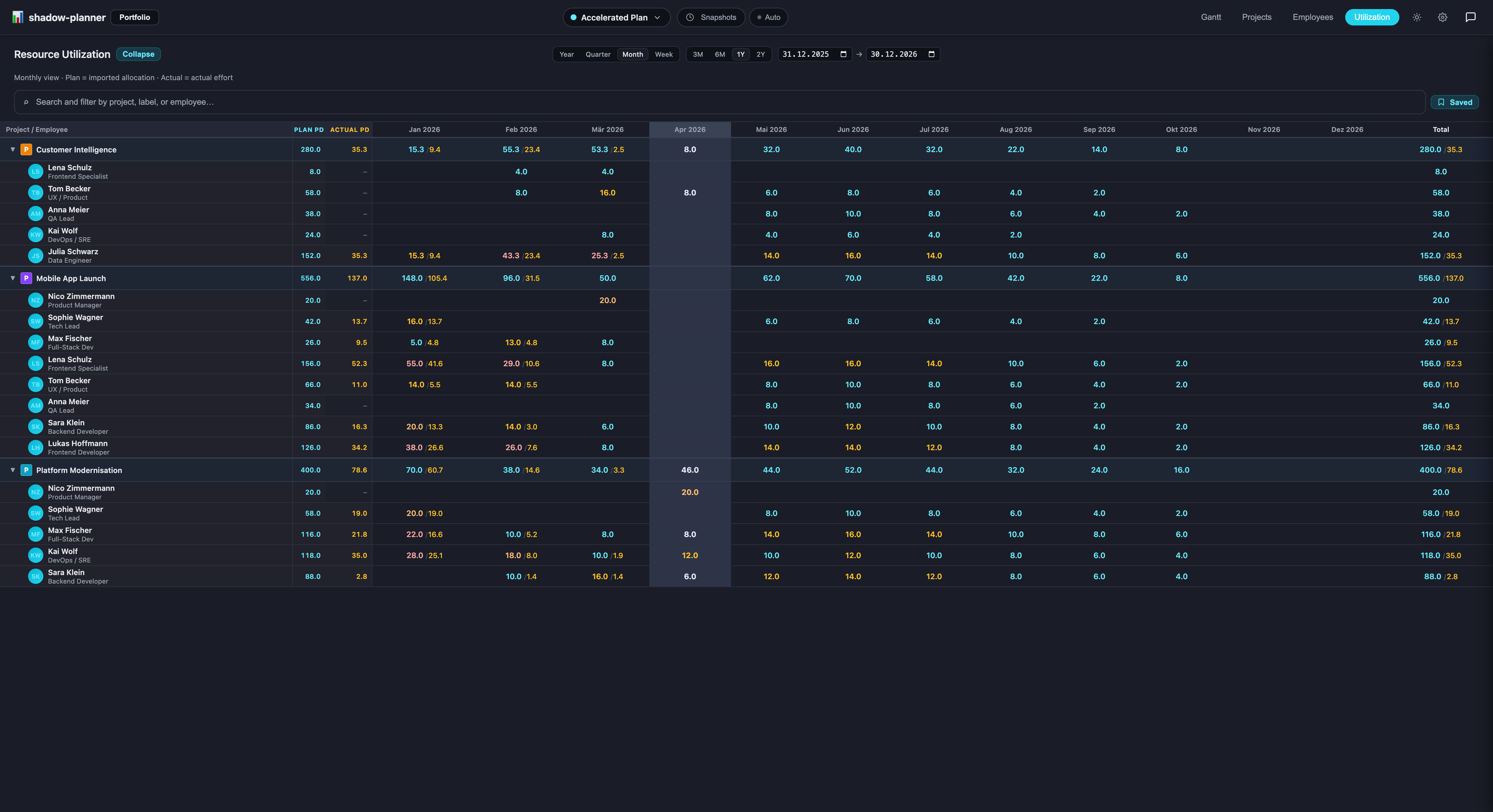 Resource utilization heatmap with monthly allocations